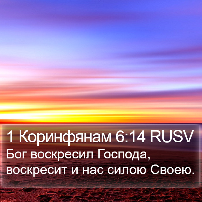 1 Коринфянам 6:14 RUSV Bible Study