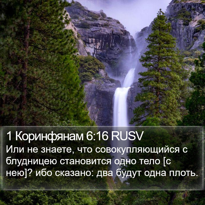 1 Коринфянам 6:16 RUSV Bible Study