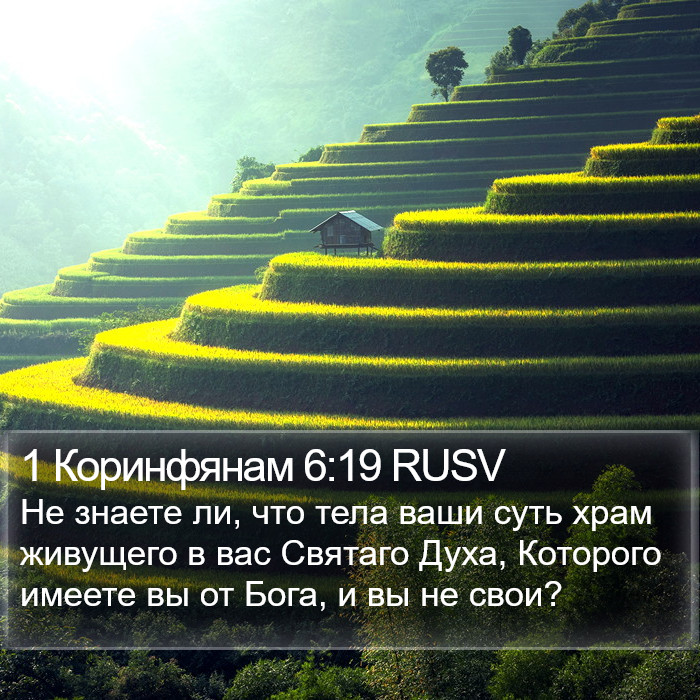 1 Коринфянам 6:19 RUSV Bible Study