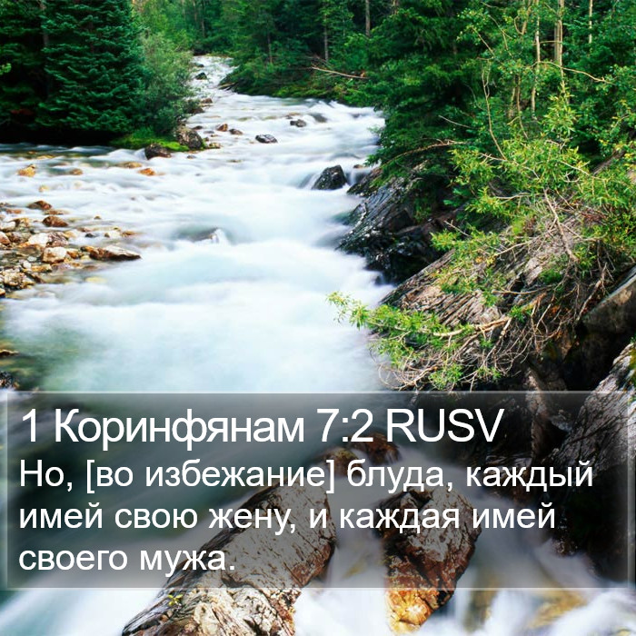1 Коринфянам 7:2 RUSV Bible Study