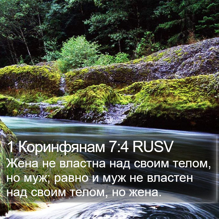1 Коринфянам 7:4 RUSV Bible Study