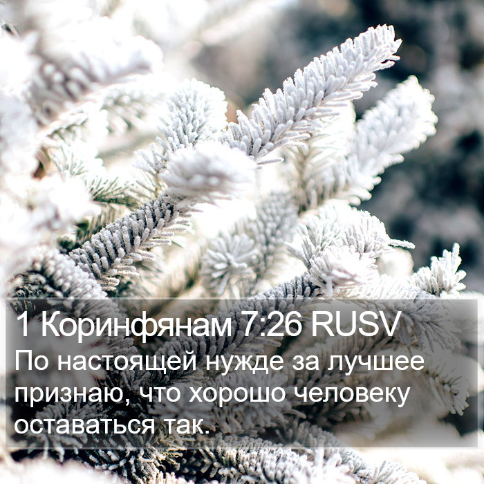 1 Коринфянам 7:26 RUSV Bible Study