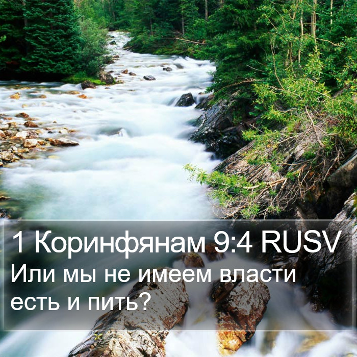 1 Коринфянам 9:4 RUSV Bible Study