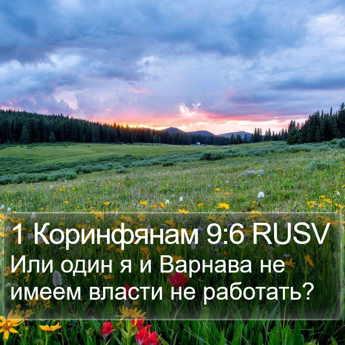 1 Коринфянам 9:6 RUSV Bible Study