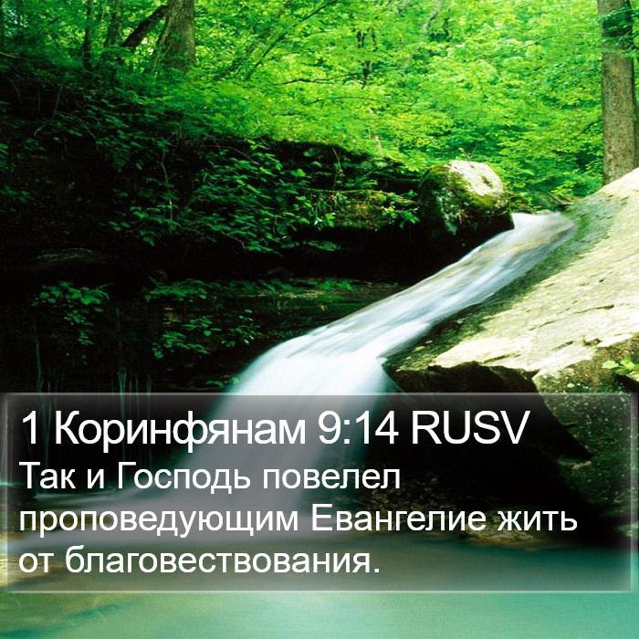 1 Коринфянам 9:14 RUSV Bible Study