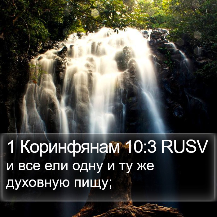 1 Коринфянам 10:3 RUSV Bible Study