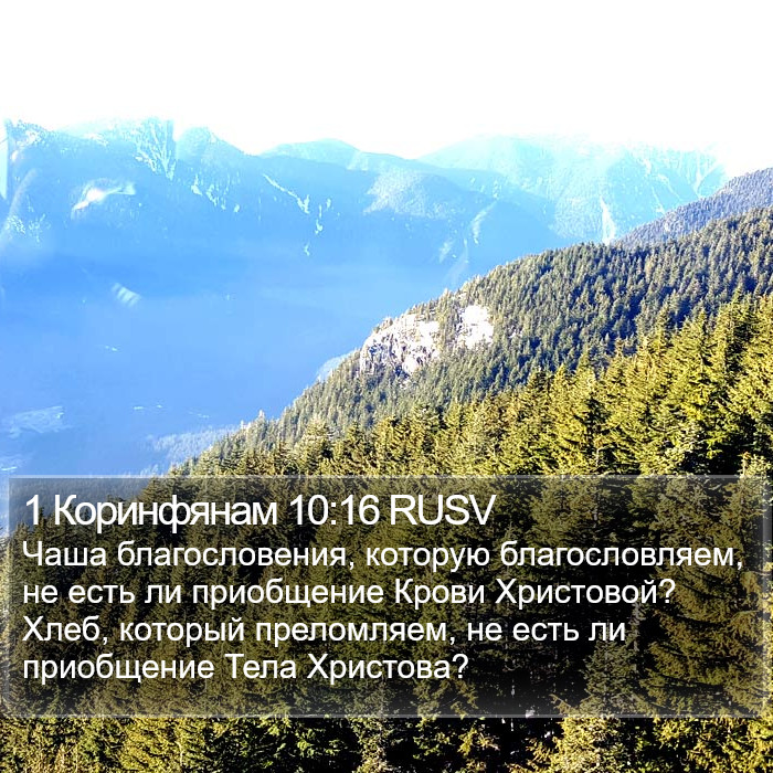 1 Коринфянам 10:16 RUSV Bible Study