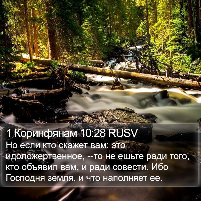 1 Коринфянам 10:28 RUSV Bible Study