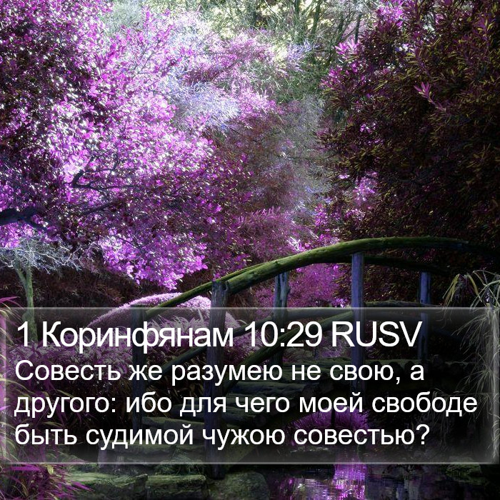 1 Коринфянам 10:29 RUSV Bible Study