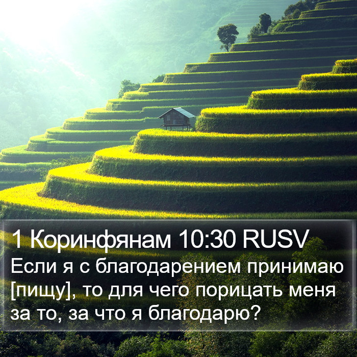 1 Коринфянам 10:30 RUSV Bible Study