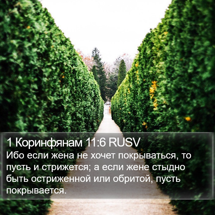 1 Коринфянам 11:6 RUSV Bible Study