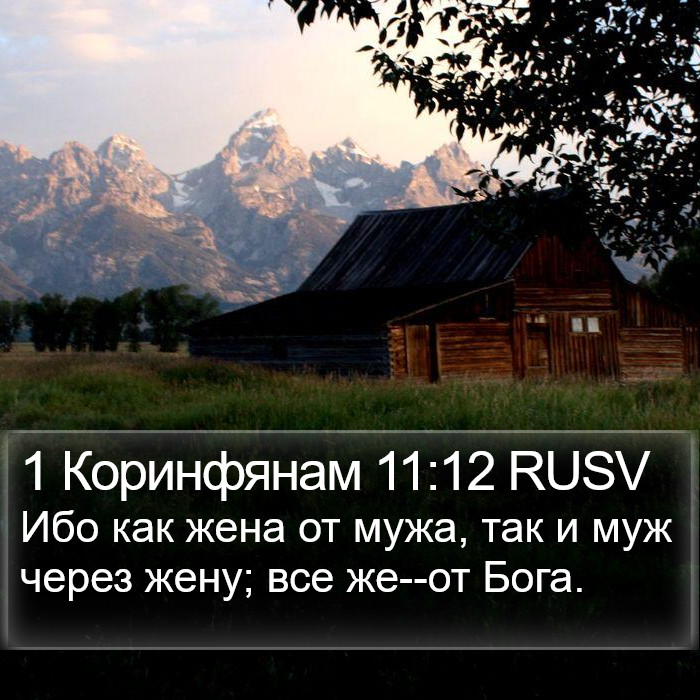 1 Коринфянам 11:12 RUSV Bible Study