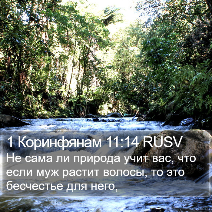 1 Коринфянам 11:14 RUSV Bible Study