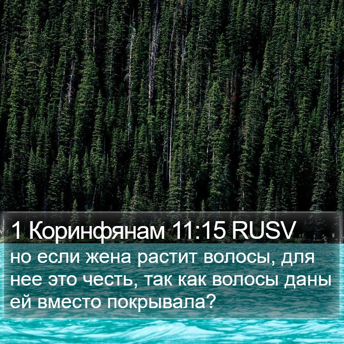 1 Коринфянам 11:15 RUSV Bible Study