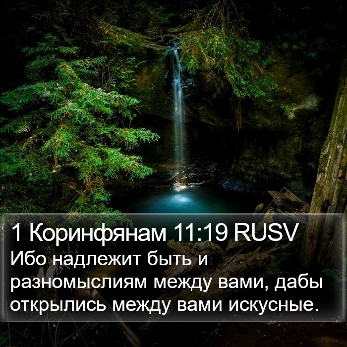 1 Коринфянам 11:19 RUSV Bible Study