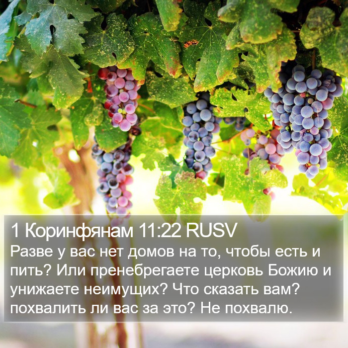 1 Коринфянам 11:22 RUSV Bible Study