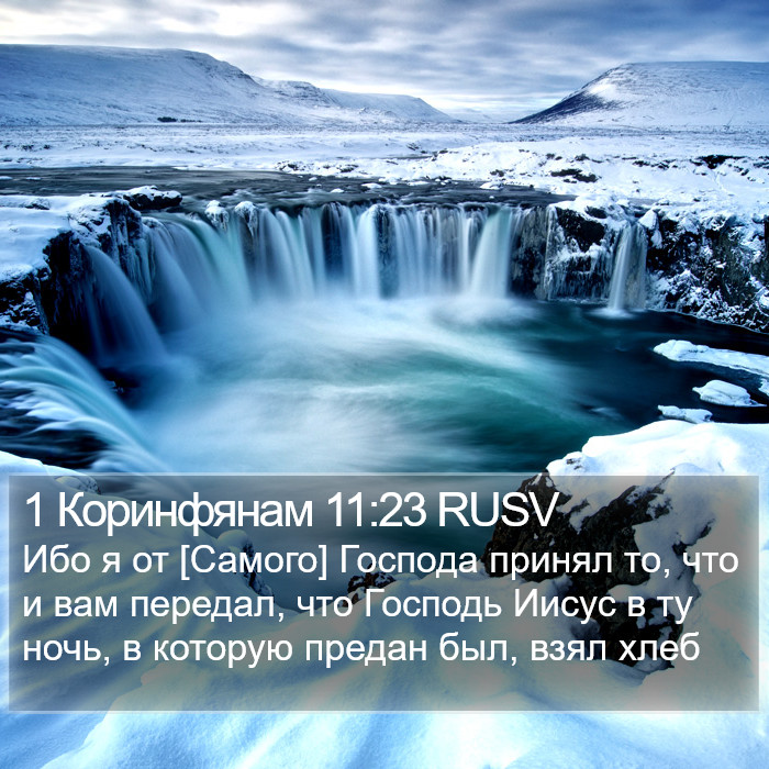 1 Коринфянам 11:23 RUSV Bible Study