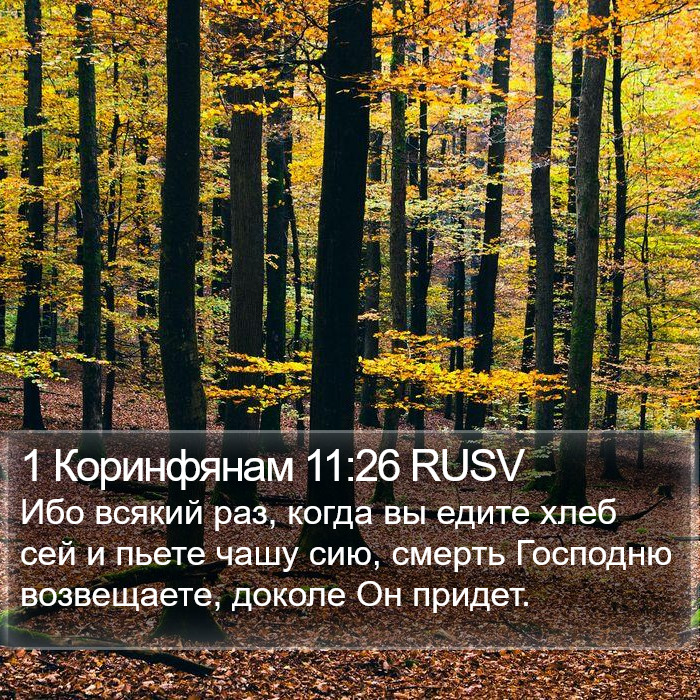 1 Коринфянам 11:26 RUSV Bible Study