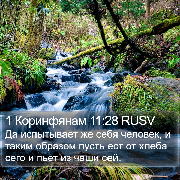 1 Коринфянам 11:28 RUSV Bible Study