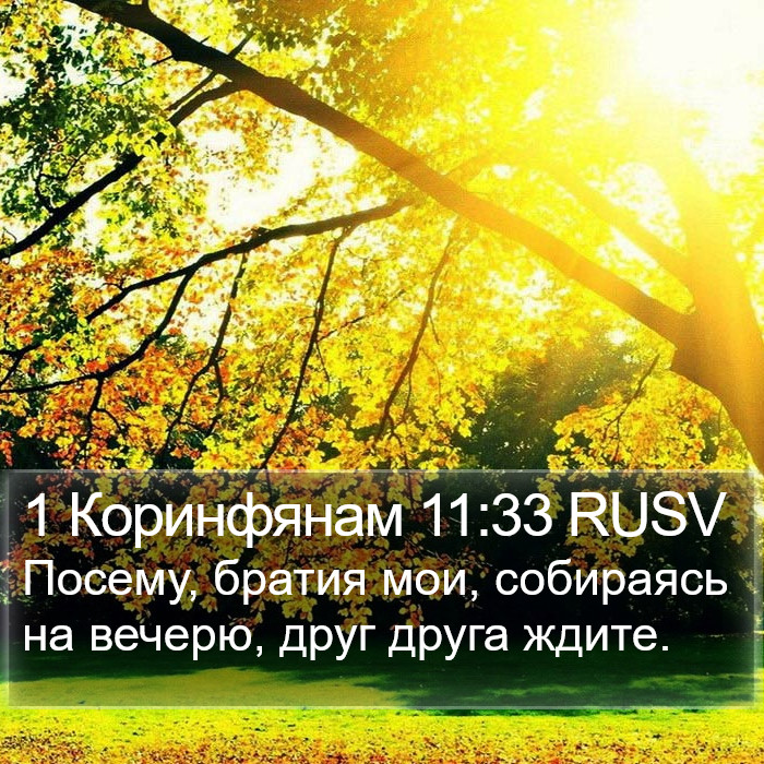 1 Коринфянам 11:33 RUSV Bible Study