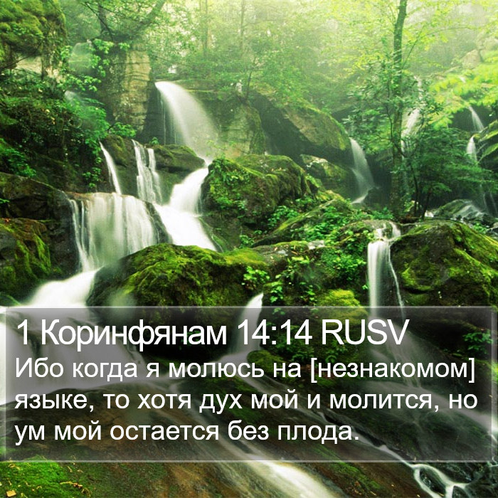 1 Коринфянам 14:14 RUSV Bible Study