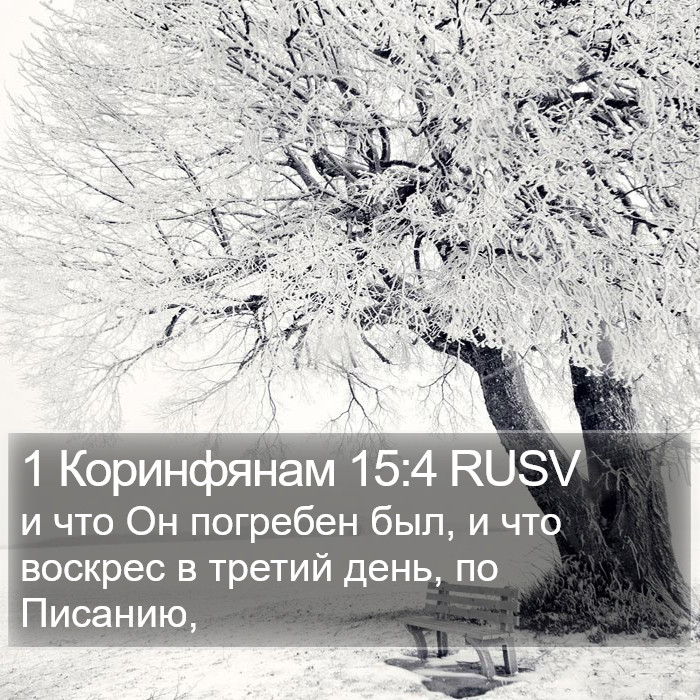 1 Коринфянам 15:4 RUSV Bible Study