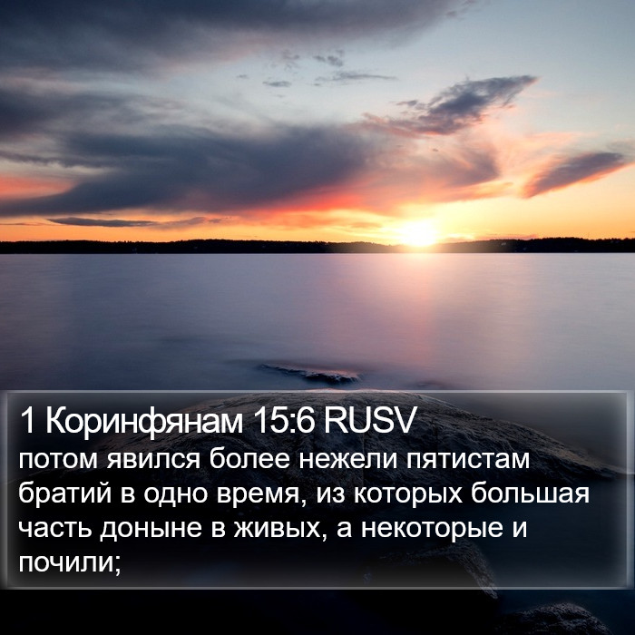 1 Коринфянам 15:6 RUSV Bible Study