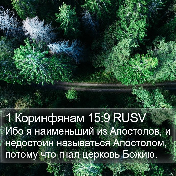 1 Коринфянам 15:9 RUSV Bible Study