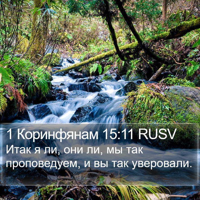 1 Коринфянам 15:11 RUSV Bible Study