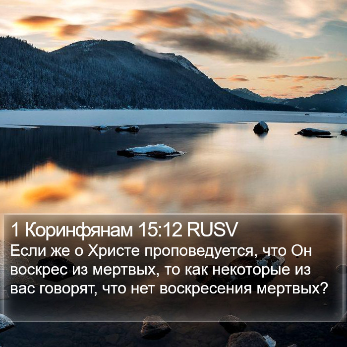 1 Коринфянам 15:12 RUSV Bible Study