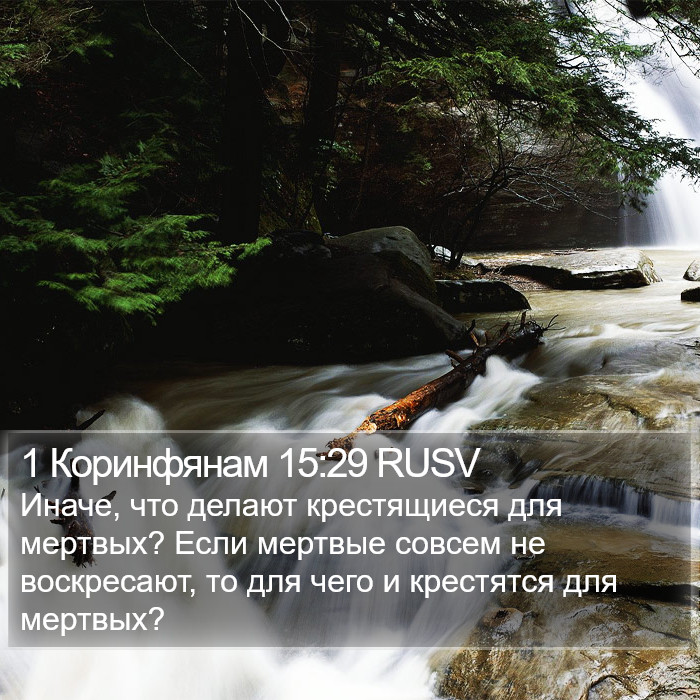 1 Коринфянам 15:29 RUSV Bible Study