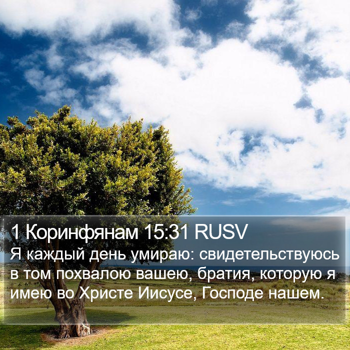 1 Коринфянам 15:31 RUSV Bible Study