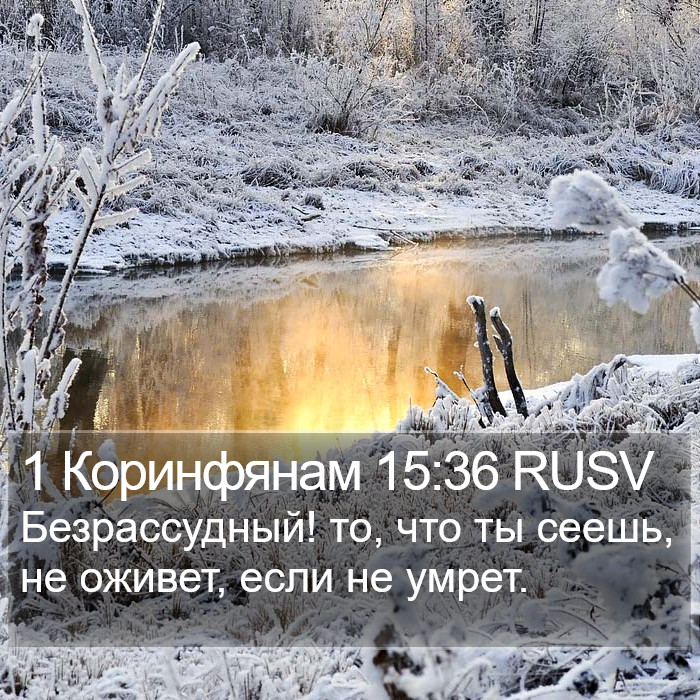 1 Коринфянам 15:36 RUSV Bible Study