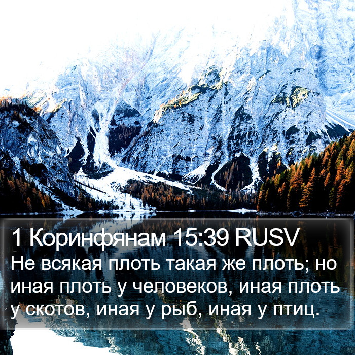 1 Коринфянам 15:39 RUSV Bible Study