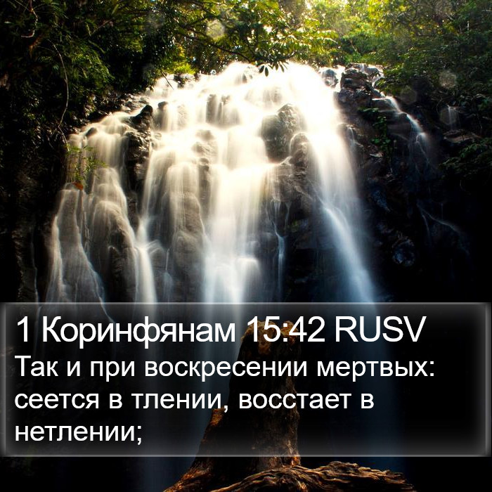 1 Коринфянам 15:42 RUSV Bible Study