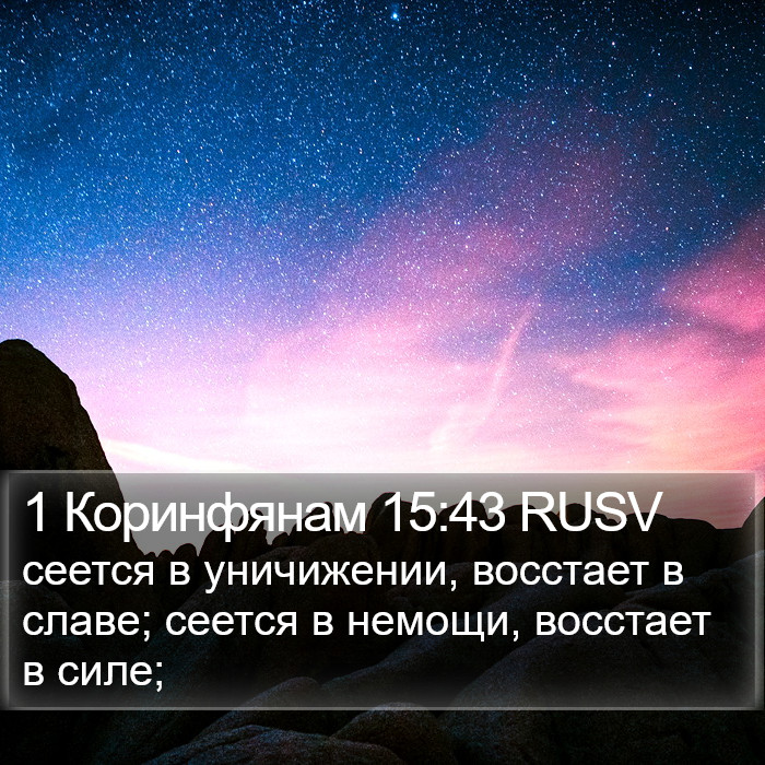 1 Коринфянам 15:43 RUSV Bible Study