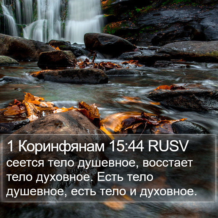 1 Коринфянам 15:44 RUSV Bible Study