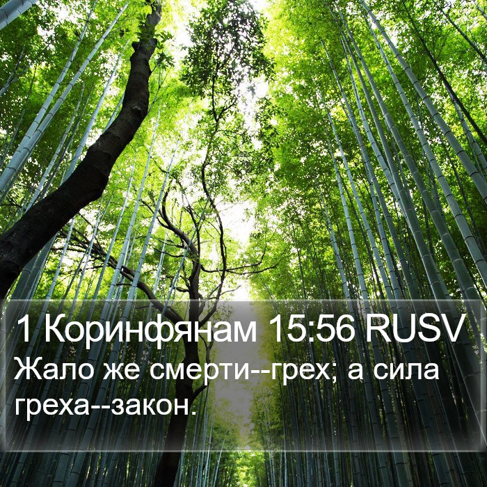 1 Коринфянам 15:56 RUSV Bible Study