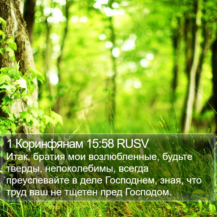 1 Коринфянам 15:58 RUSV Bible Study