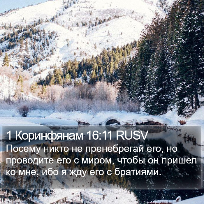 1 Коринфянам 16:11 RUSV Bible Study