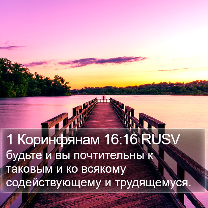 1 Коринфянам 16:16 RUSV Bible Study