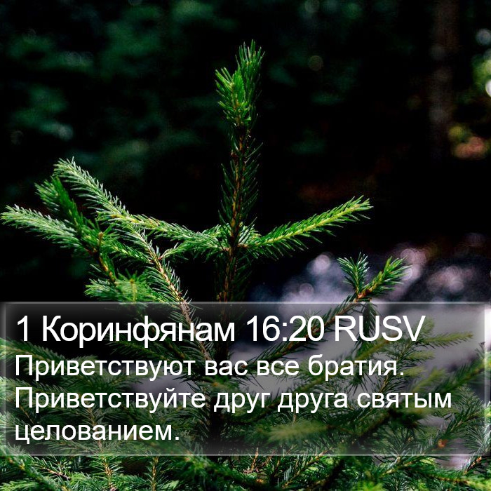 1 Коринфянам 16:20 RUSV Bible Study