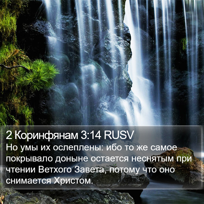 2 Коринфянам 3:14 RUSV Bible Study