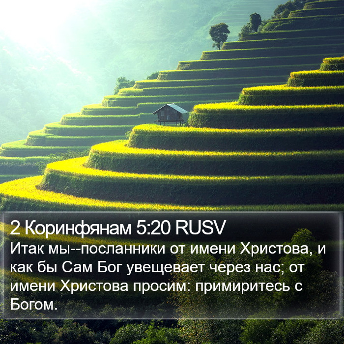 2 Коринфянам 5:20 RUSV Bible Study