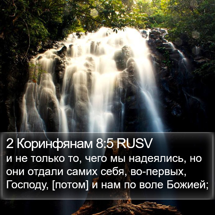 2 Коринфянам 8:5 RUSV Bible Study