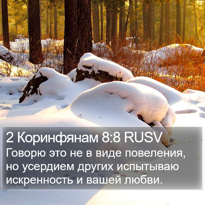 2 Коринфянам 8:8 RUSV Bible Study