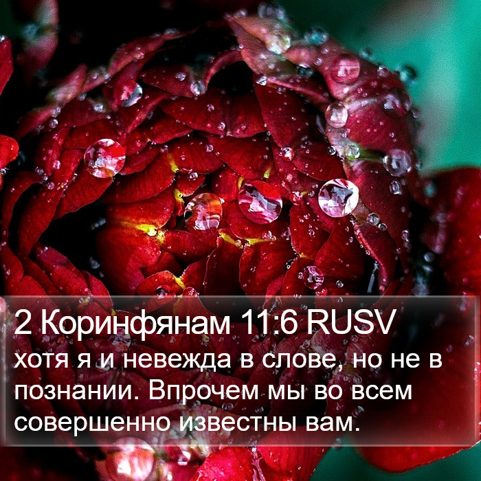 2 Коринфянам 11:6 RUSV Bible Study