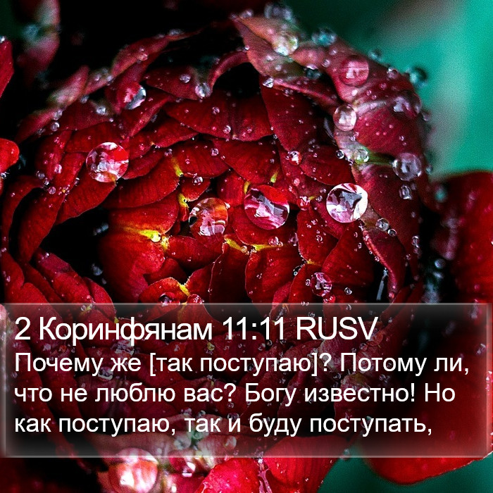 2 Коринфянам 11:11 RUSV Bible Study