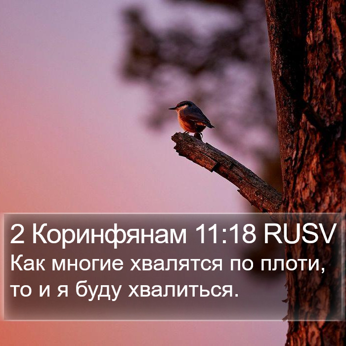 2 Коринфянам 11:18 RUSV Bible Study