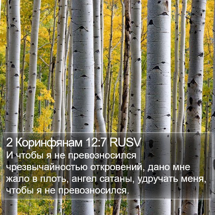 2 Коринфянам 12:7 RUSV Bible Study